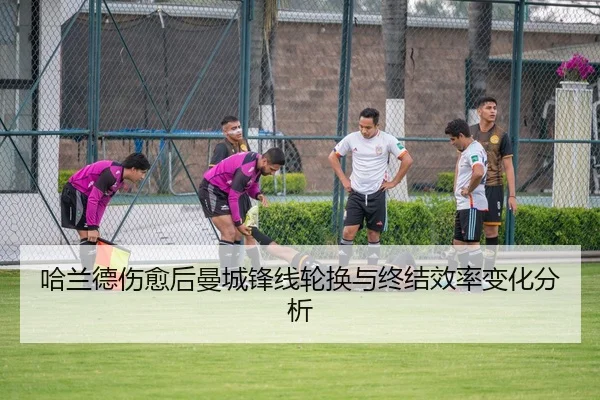 img_1788753257480_178_0_926.jpg